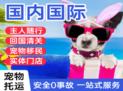 天吉泰空运公司国际宠物托运 【国